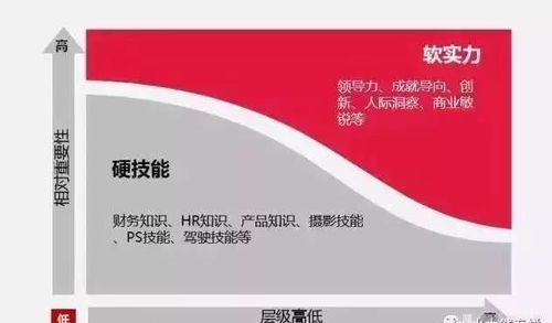 無(wú)人水餃工廠的興起 自動(dòng)化浪潮下的挑戰(zhàn)與數(shù)字文創(chuàng)的機(jī)遇